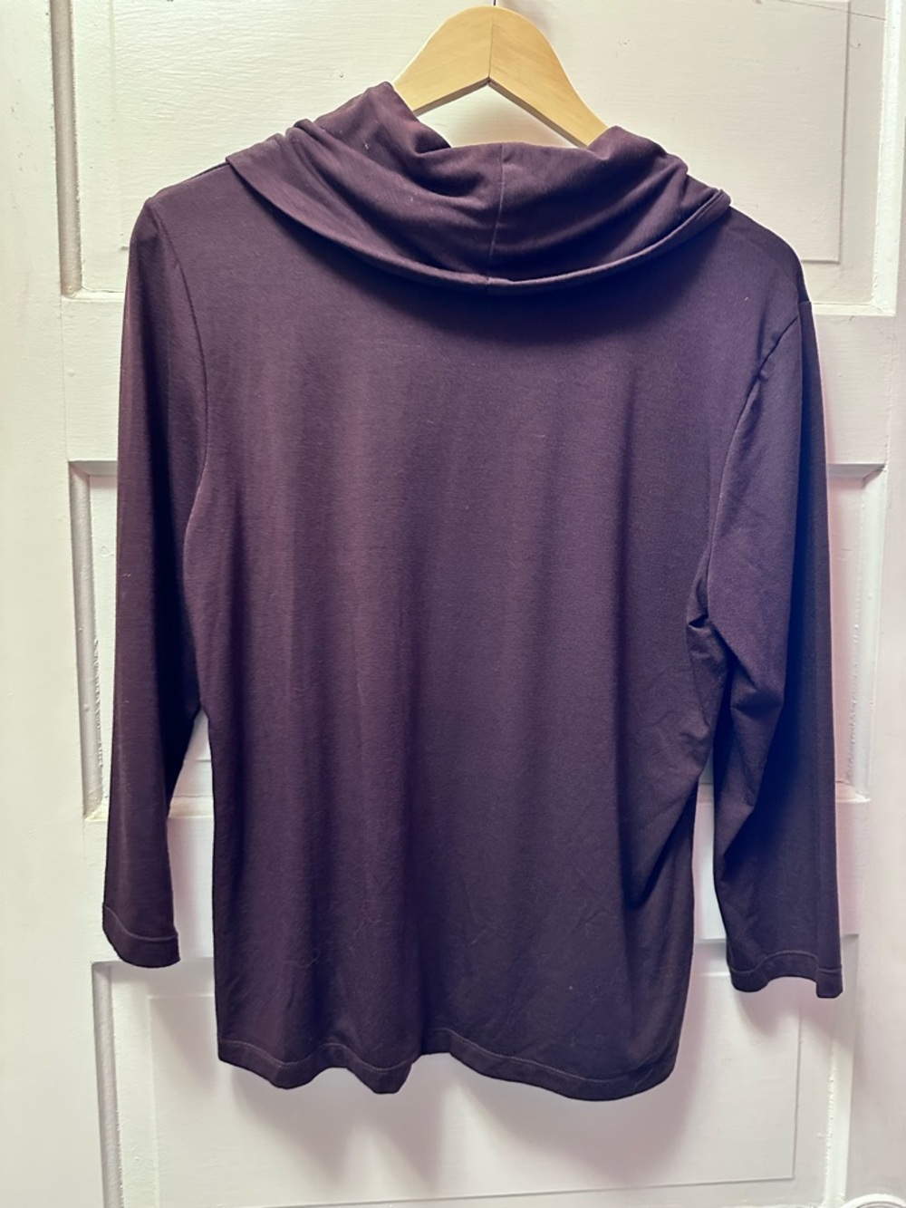 Women's Long Sleeve Cowl Neck Top - Brown